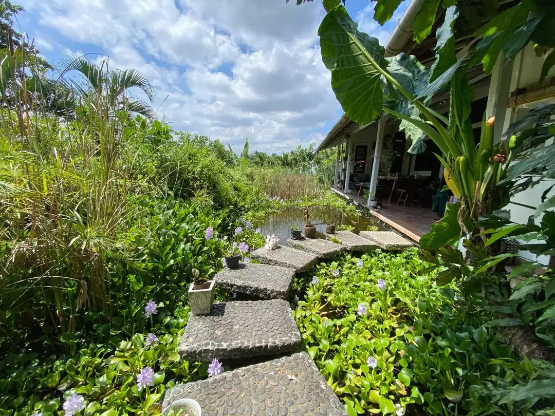 Tanah View Alam Asri Bonus Villa di Kawasan Mewah Canggu - Image 8 of 10