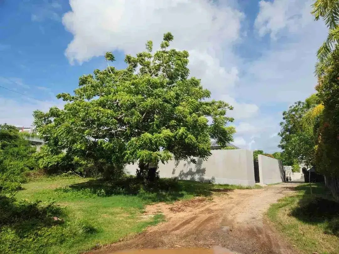 Tanah Premium Kawasan Villa Karang Putih Pandawa - Image 9 of 10