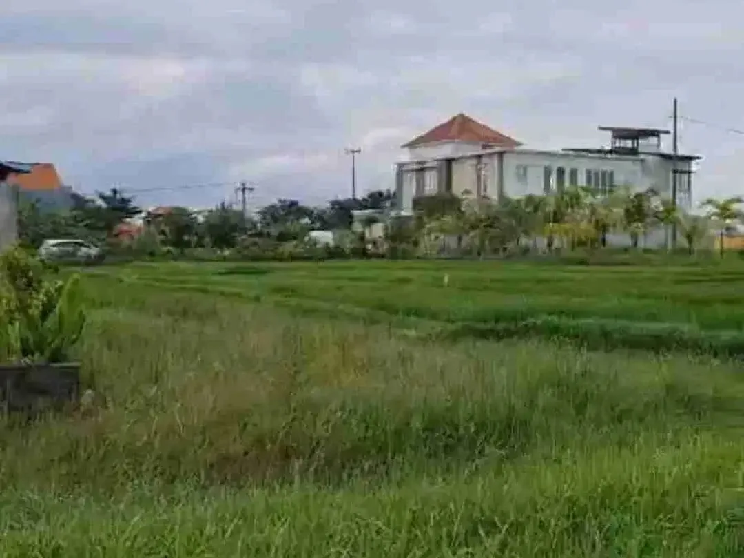 DIJUAL TANAH LC 4,5 are  kawasan kuliner kediri tabanan - Image 7 of 10