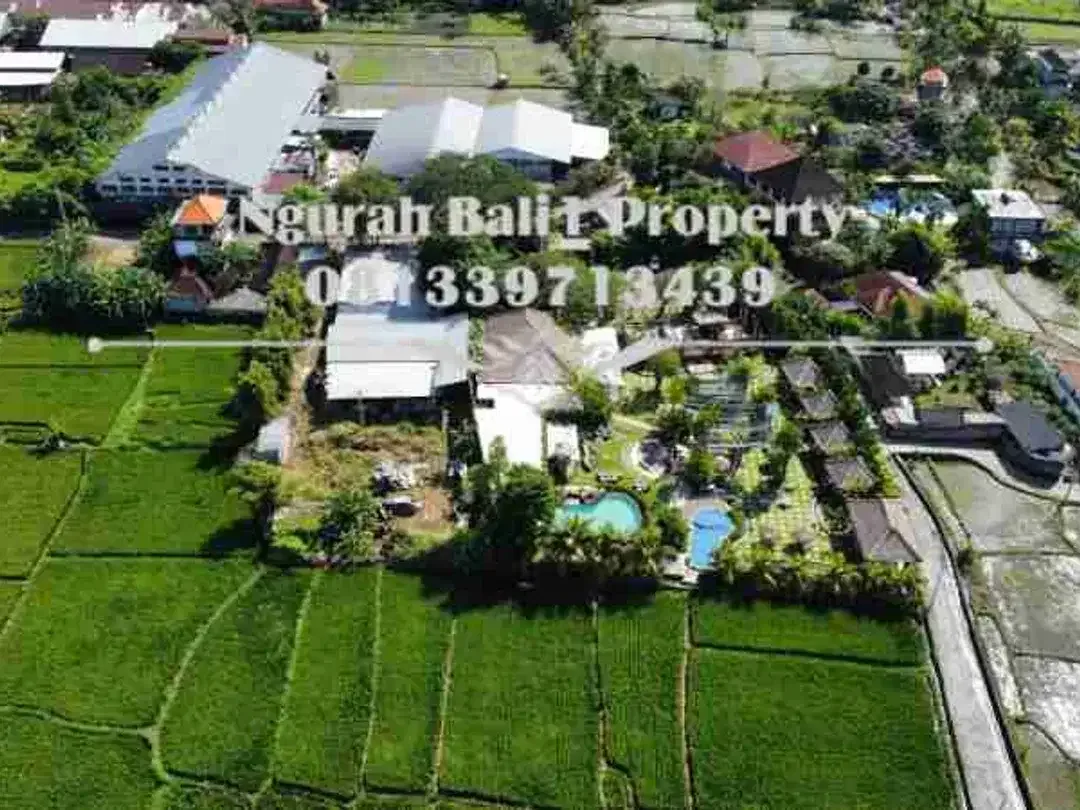Land For Rent Murah 2160 m2 View Sawah Kawasan Villa di Ubud - Image 5 of 6
