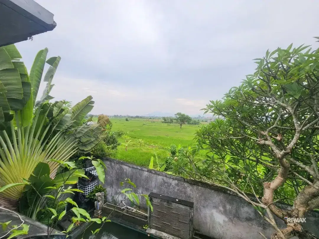 Villa view sawah lokasi tenang dijual area Sanur. - Image 4 of 7