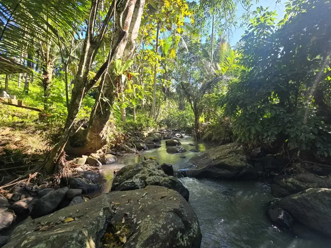 Dijual tanah di bali los sungai dengan view exotik jugle - Image 1 of 10