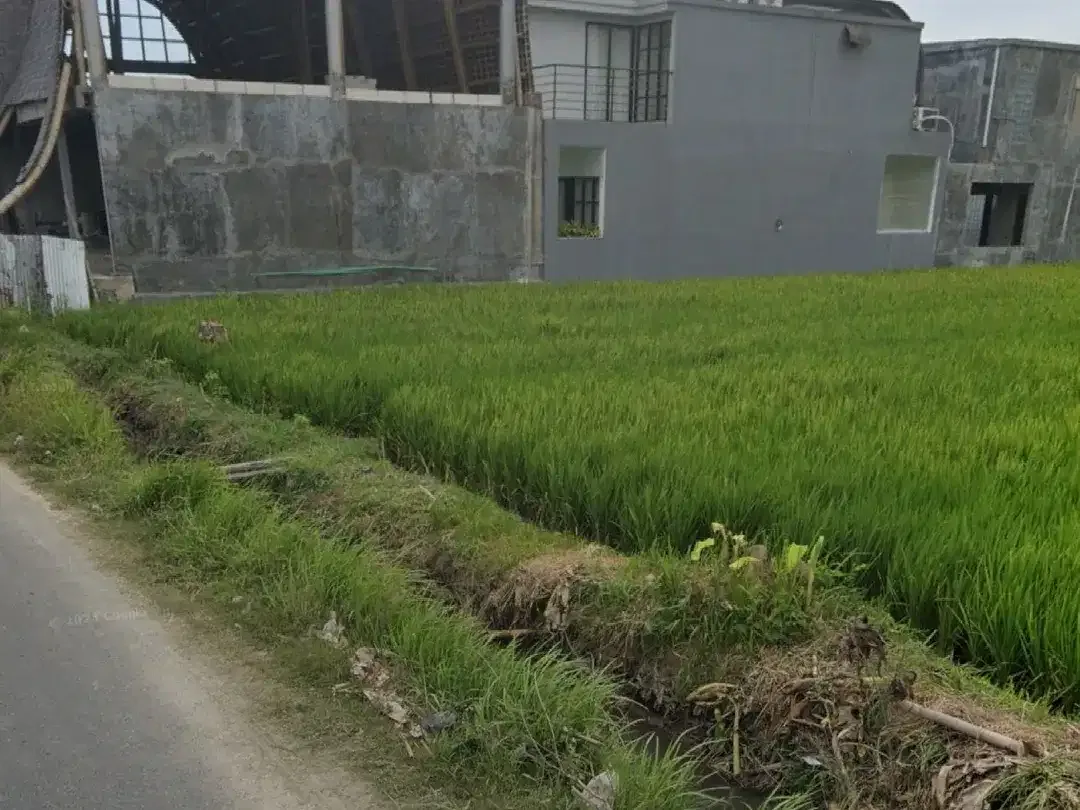 Land for sale in Cemagi, Bali - Image 4 of 4