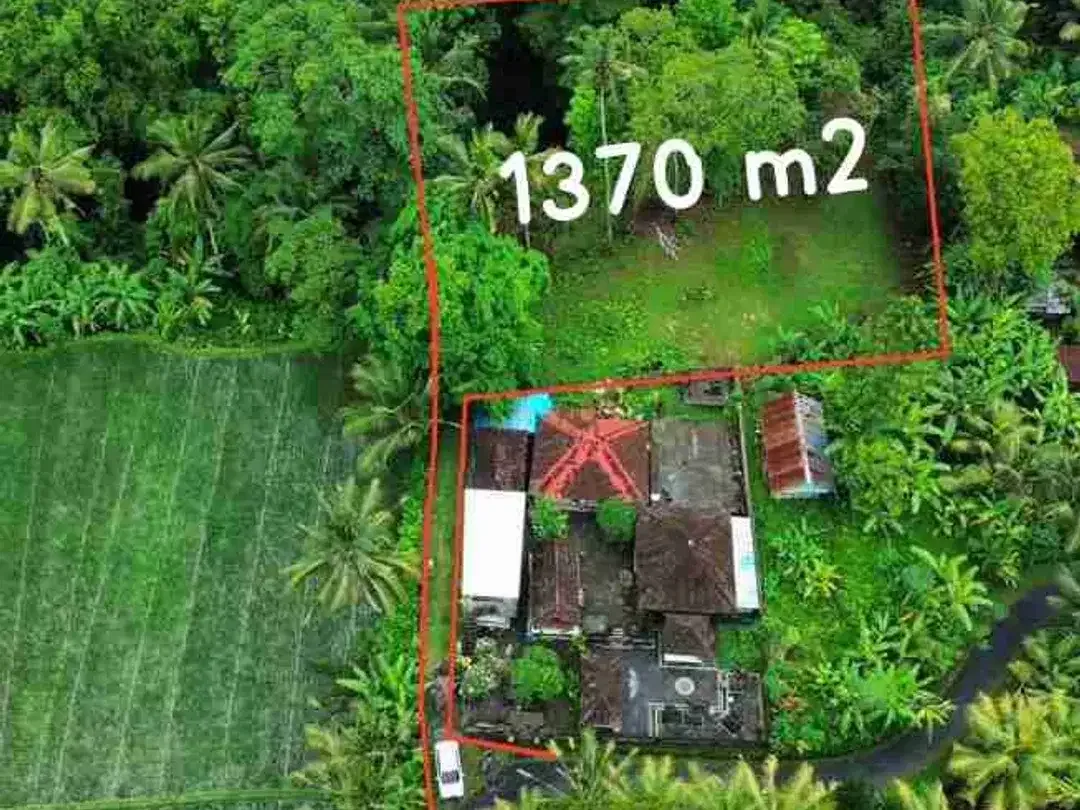 Siap Bangun Vila, Tanah Datar View Sawah di Ubud Gianyar - Image 1 of 10