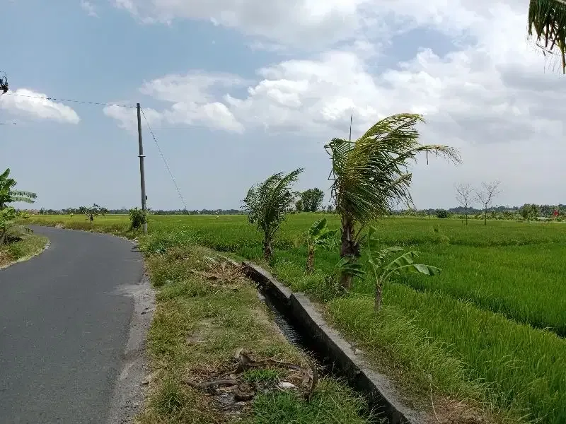 Tanah Lokasi Kaba-Kabar View Sawah Lingkungan Nyaman - Image 9 of 10