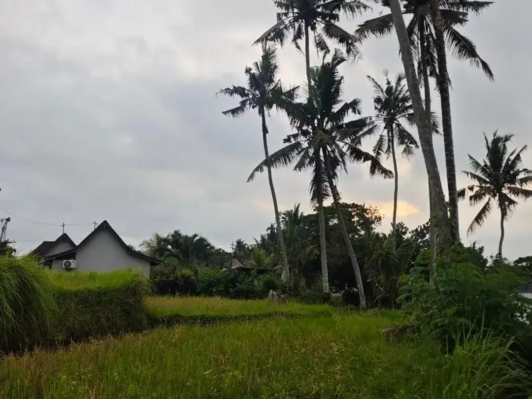 Land for sale in Ubud, Bali - Image 7 of 8