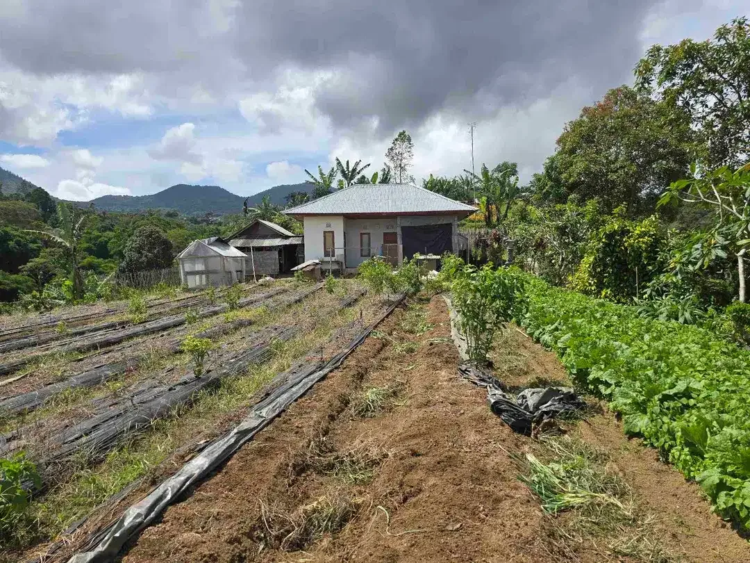 Dijual tanah view istimewa exotik lembah dan gunung di bedugul bali - Image 4 of 10