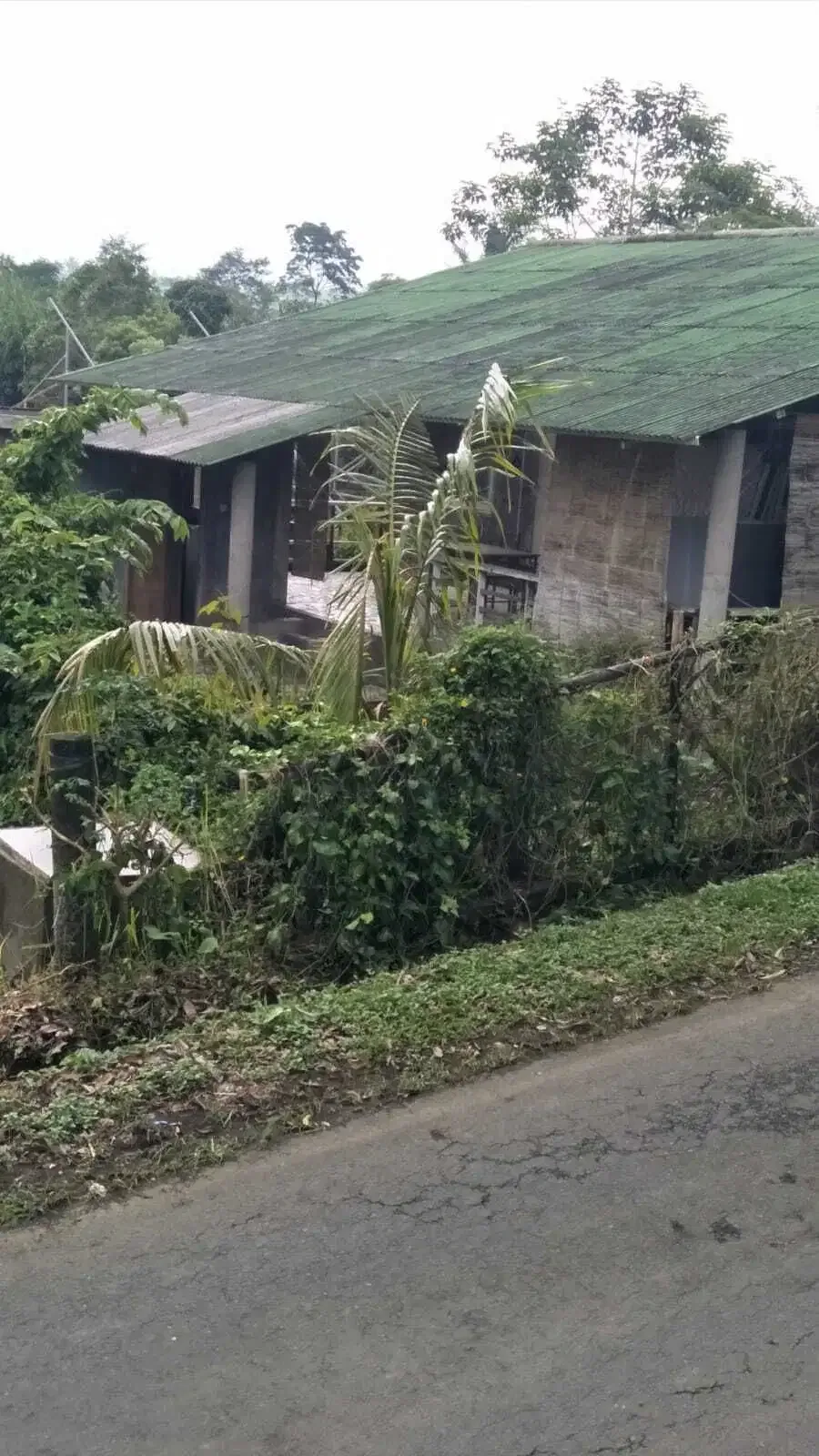 Dijual kandang babi kapasitas 300 di Kintamani Bali - Image 5 of 6