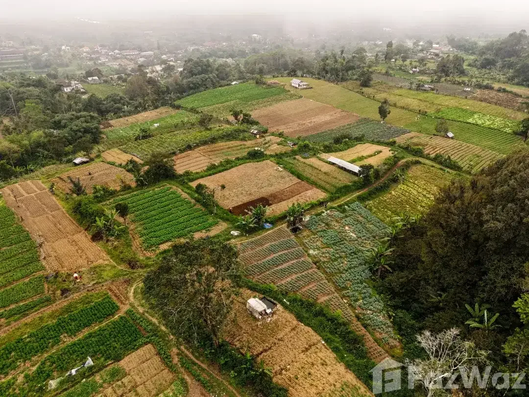 Land for sale in Baturiti, Bali - Image 1 of 5