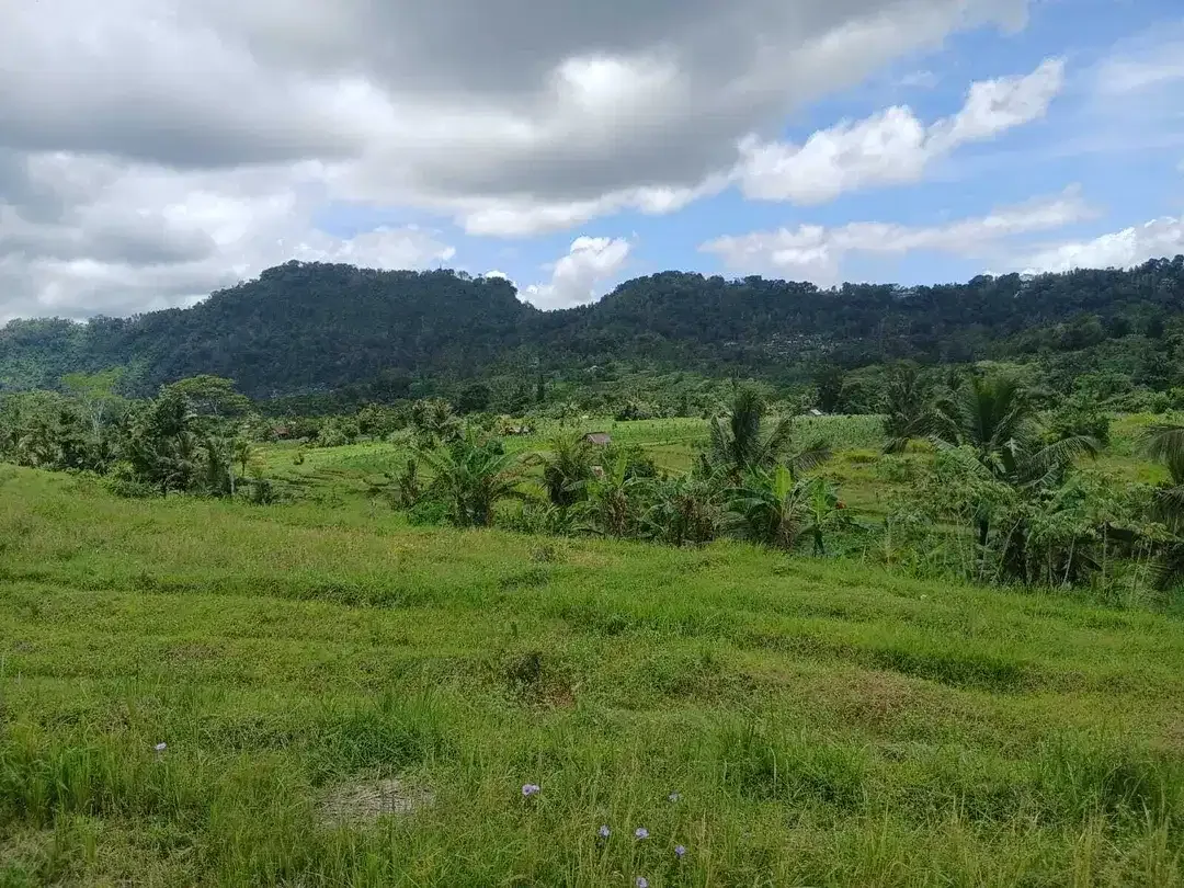 Huge land of 3 Ha offers natural views for lease in Karangasem - Image 4 of 7