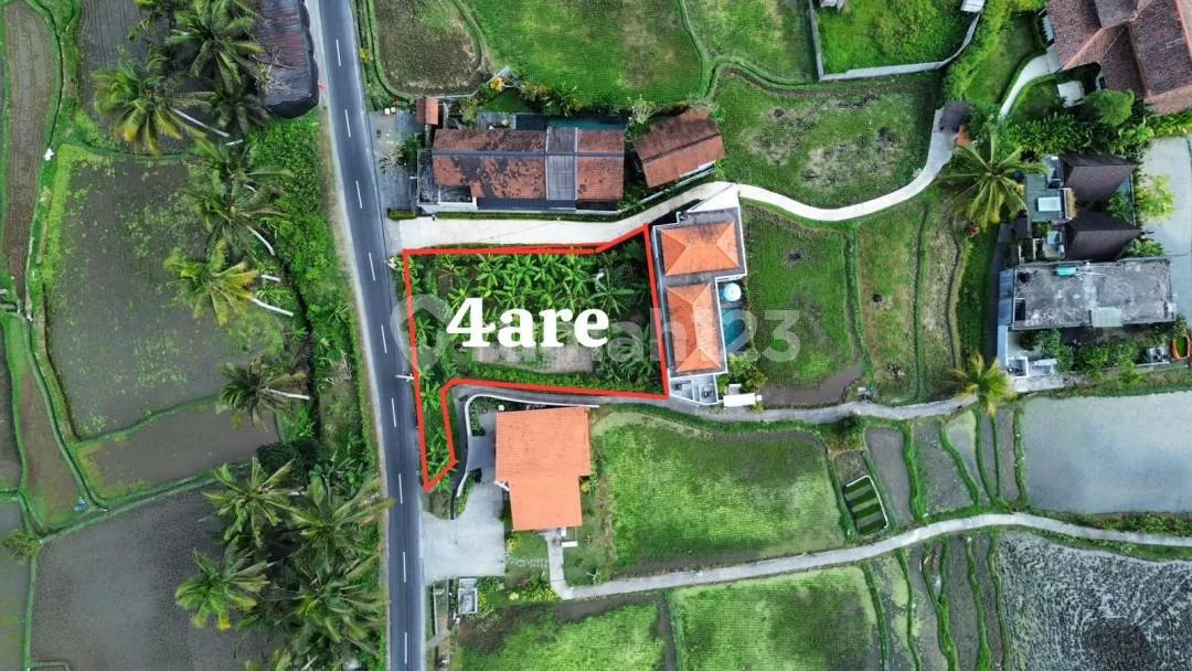 Dijual Lahan Premium & Langka - Jalan Cinta, Ubud Lok Strategis - Image 1 of 4