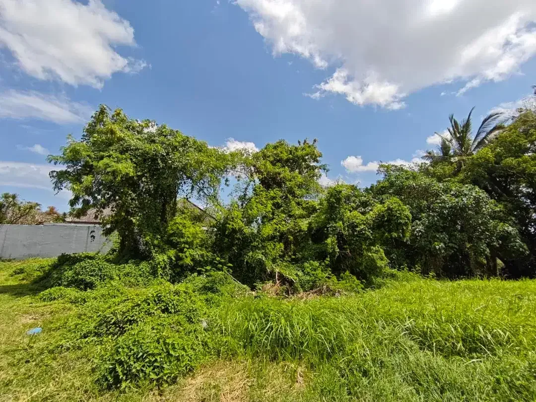 DI JUAL TANAH KAVLING DEKAT CANGGU BALI DI AREA VILLA MUNGGU - Image 6 of 6
