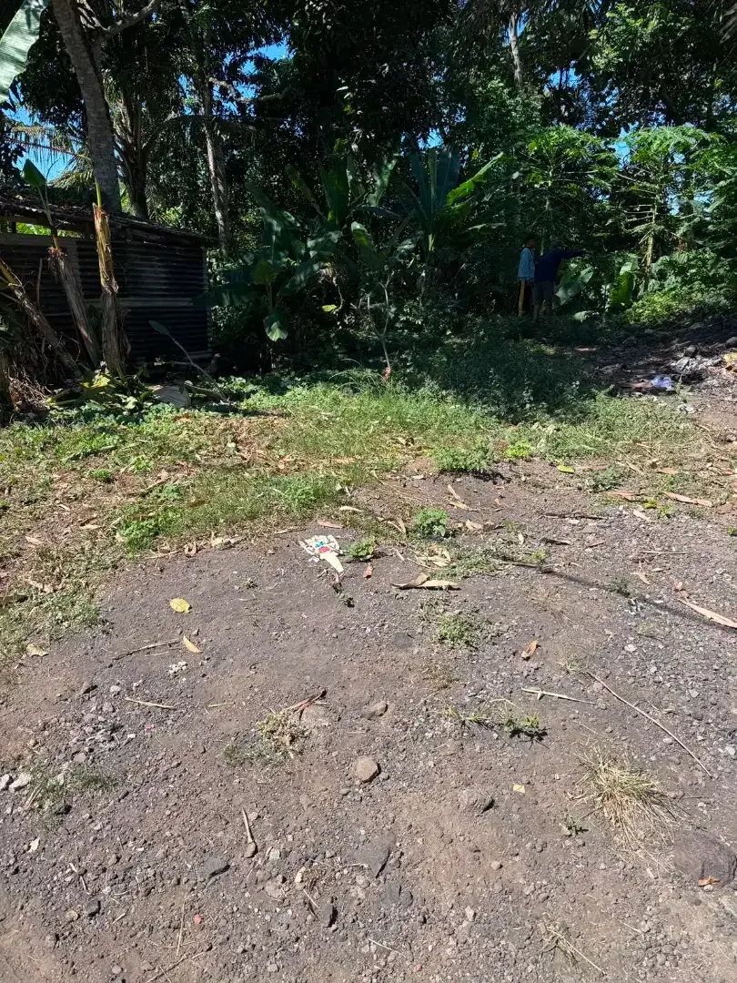 15mnit to Canggu Pererenan Loss Tebing - Image 1 of 4
