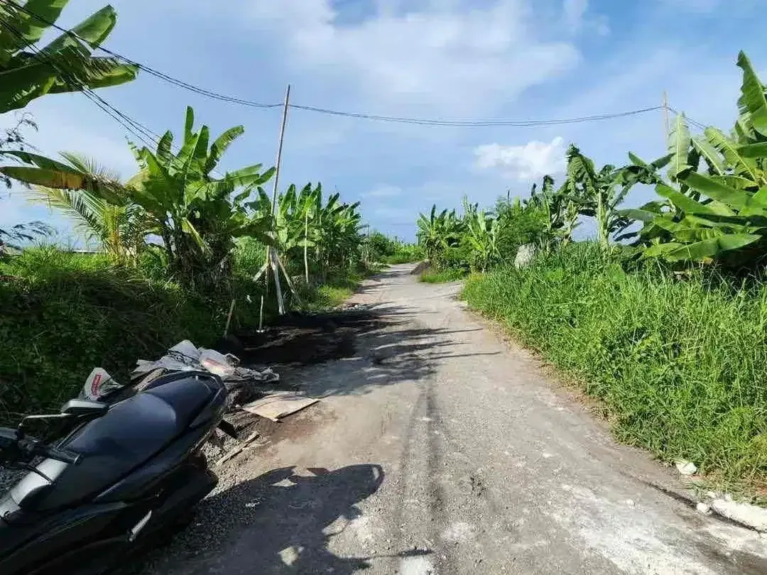 Dijual Tanah Murah di kawasan Pantai Seseh - Image 6 of 7