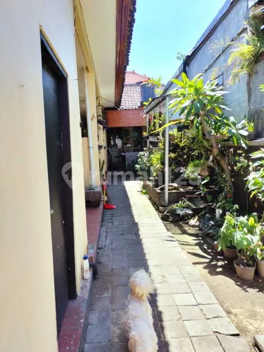 Siap Huni Rumah + Warung di Sidakarya Denpasar Sl - Image 2 of 4