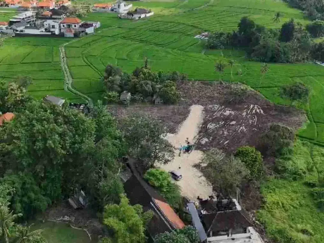 Tanah cemagi dengan pemandangan sawah sangat ideal untuk Villa2 komersial Homestay Guesthouse - Image 2 of 9