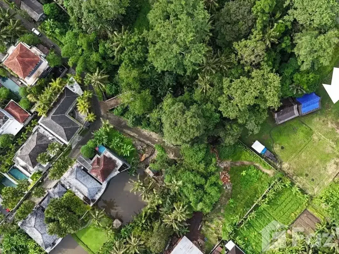 Land for sale in Ubud, Bali - Image 4 of 7