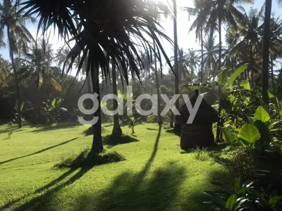 VILLA DENGAN TANAH LUAS KARANGASEM SERAYA BARAT, BALI - Image 8 of 10