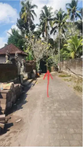 Tanah di Payangan Ubud - Image 1 of 10