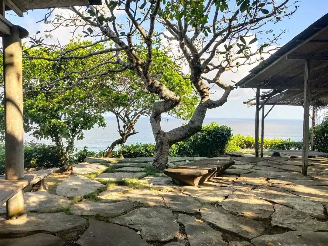 Cliff Land For Sale in Bali Cliff Tanah Tebing Bali Cliff - Image 5 of 10