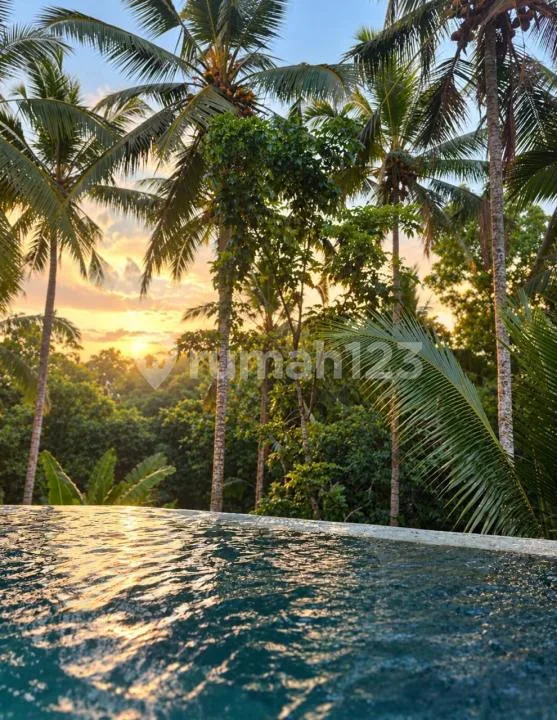 Dijual Villa dengan Suasana Tenang dan Pemandangan Rice Field/Hutan yang Indah di Kawasan Tegalalang, Gianyar. Memiliki Akses Mobil Langsung, Private Pool, serta Potensi Investasi yang Menarik untuk - Image 3 of 4