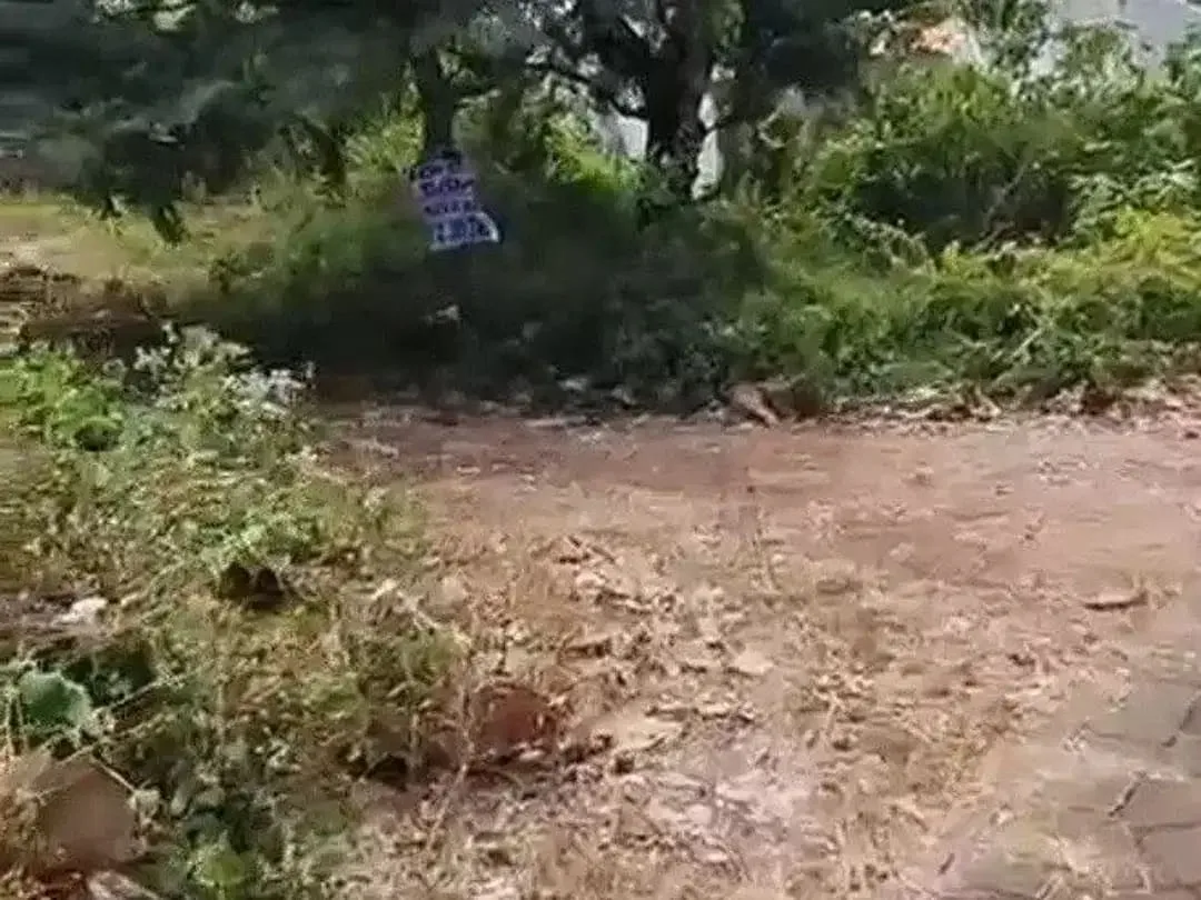 Tanah Kosong di Dekat Jalan Gunung Payung Kutuh - Image 2 of 10
