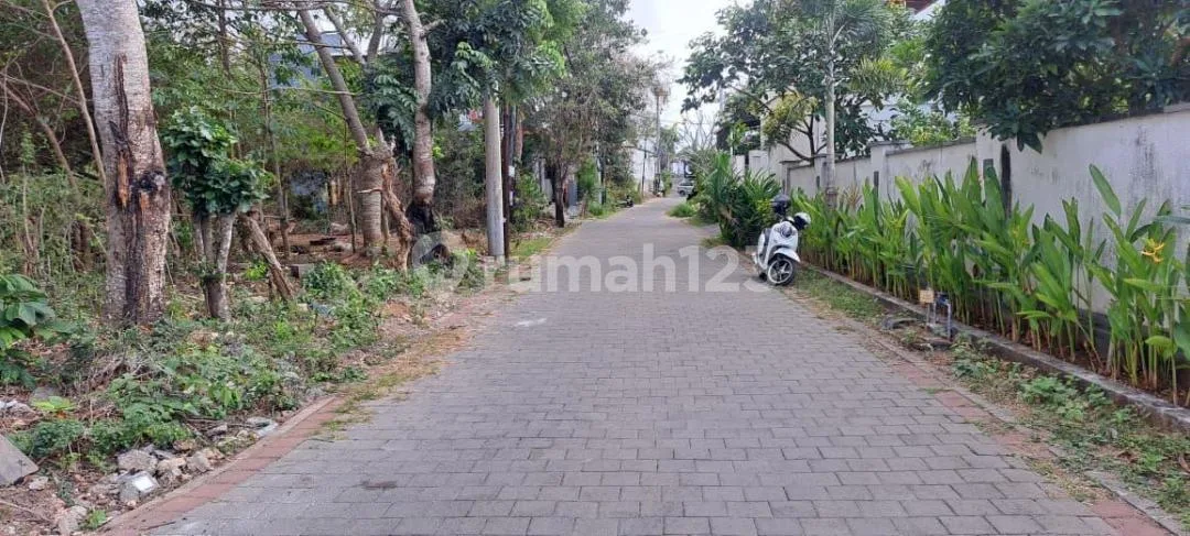 Tanah Murah 225M2 di Ungasan Kuta Selatan - Image 3 of 4