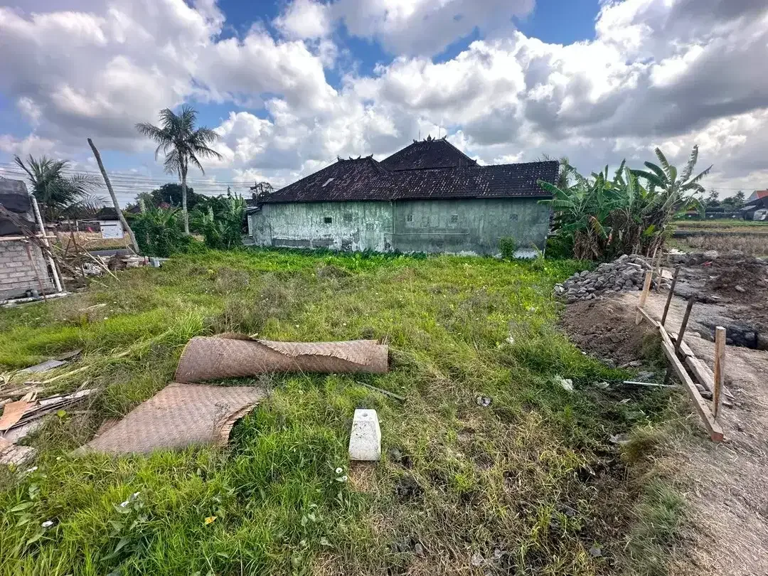 TANAH MURAH DISEWAKAN 15 TAHUN – JALAN CEKOMARIA, DENPASAR - Image 2 of 5