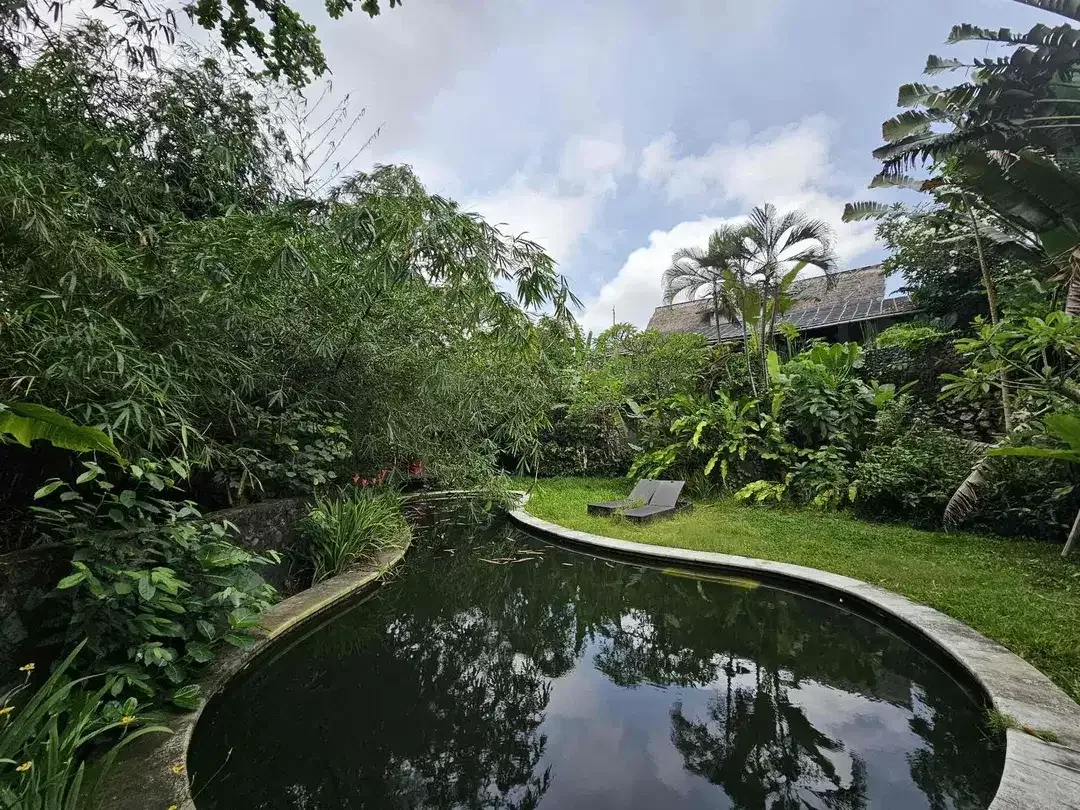 BUTUH UANG CEPAT!!!

Tanah Komersil deket Canggu Bali Los sungai & View Sawah Bonus villa Mangkrak - Image 1 of 4