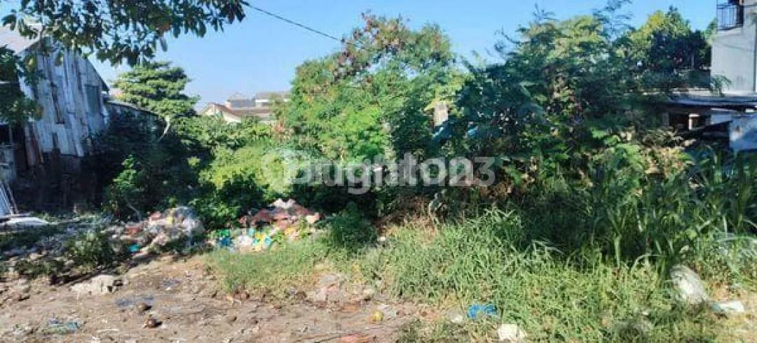 Dibawah Harga Pasar Tanah Komersial Premium Main Road Denpasar Barat - Image 1 of 4