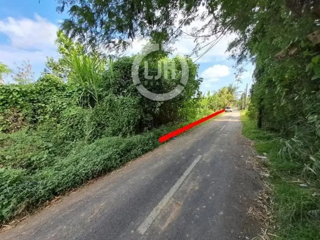 Land In Main Road, Bitera, Gianyar, Close to Kapten I Wayan Dipta Stadium and Ubud Area, Suitable for Business - Image 5 of 5