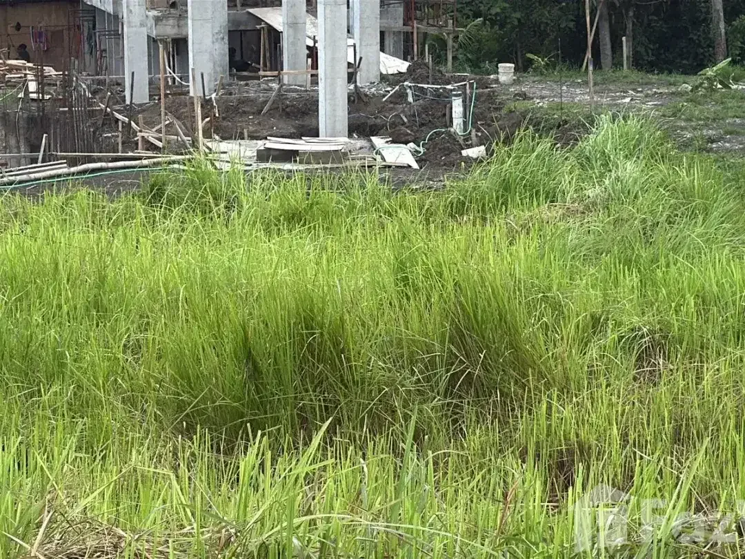 Land for sale in Cemagi, Bali - Image 5 of 5