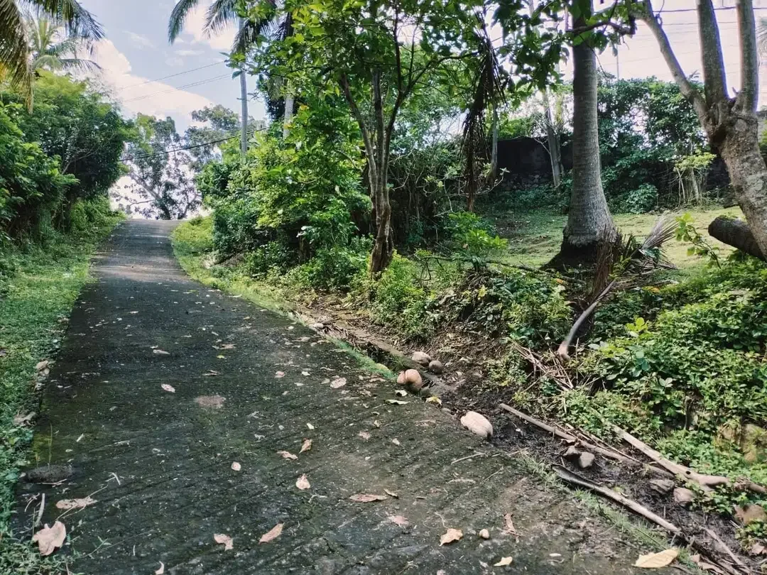 Dijual Tanah Prime Beachfront di Pantai Soka, Antap, Tabanan - Image 4 of 6