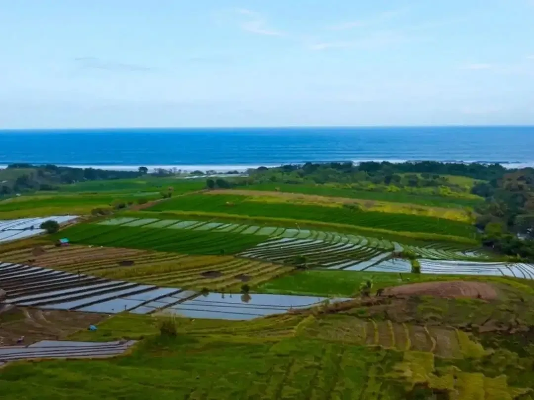 Tanah Kavling Villa View Sawah, Sungai & Laut, Harga Ekonomis di Kelating, Kerambitan, Tabanan dekat Pantai - Image 9 of 10