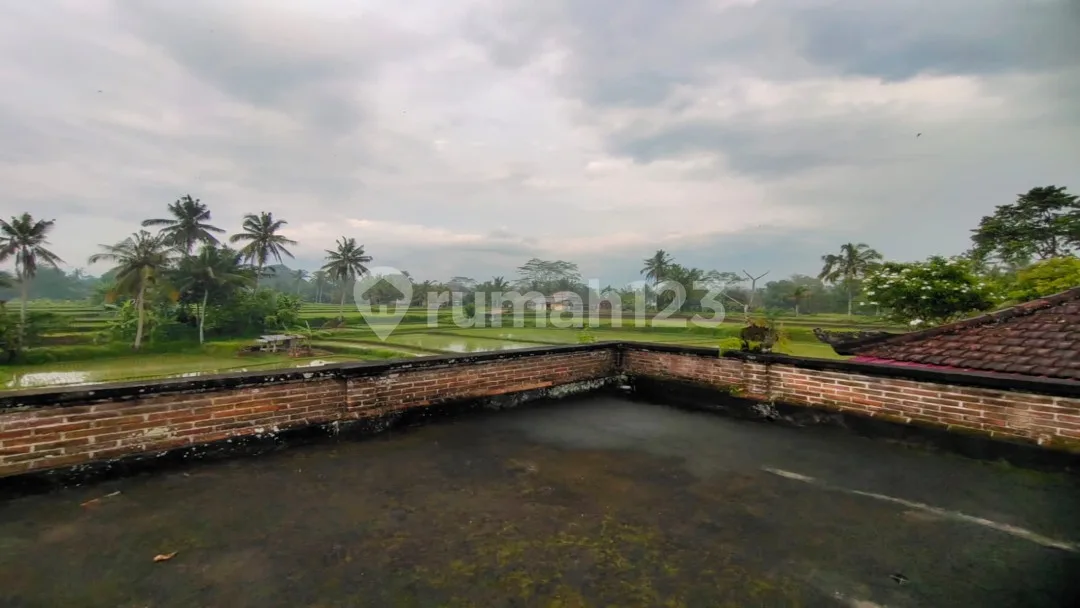 Villa Style Bali di Ubud View Cantik Gunung dan Sawah - Image 2 of 4