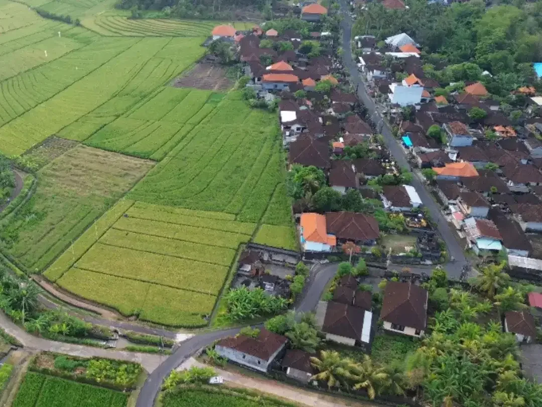Dijual Tanah Dengan View Sawah yang Indah dan Tenang di Bali. Investasi Masa Depan. - Image 4 of 5