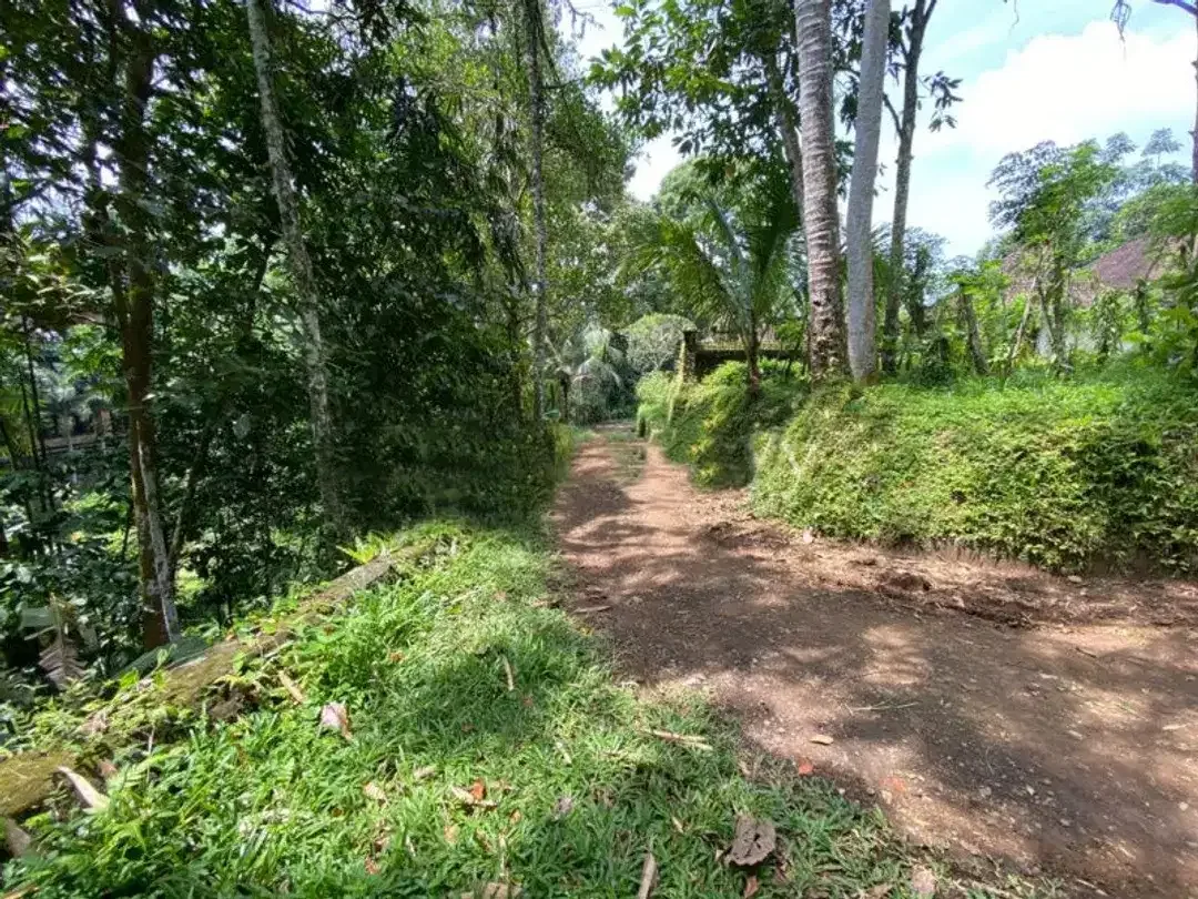 FREEHOLD LAND FOR SALE IN UBUD - Image 1 of 8