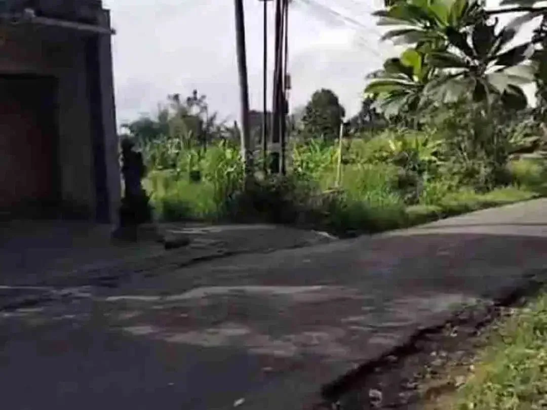Tanah Komersial Premium Area Sayan Ubud Bali - Image 2 of 10