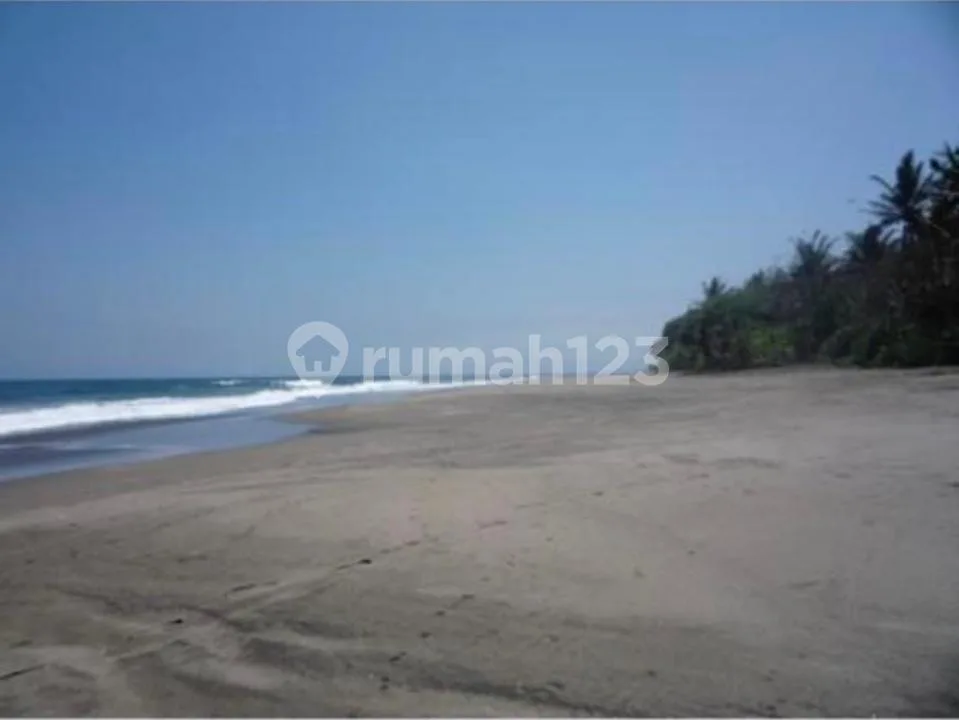 Tanah View Laut Lalang Lingah Beach Tabanan 6625M2 - Image 4 of 4