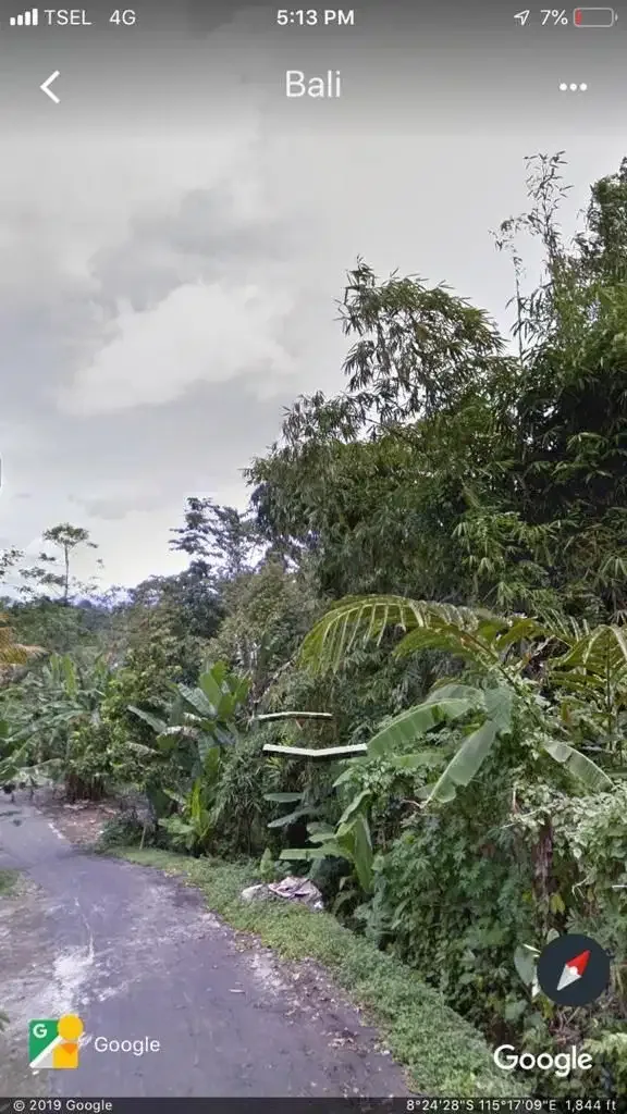 Dijual Tanah 38 are Daerah Tegalalang - Image 5 of 10