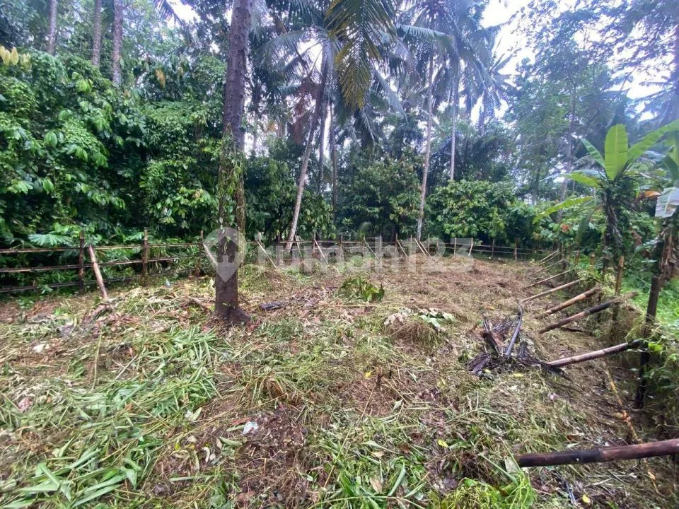 Termurah Singakertha Ubud Zona Kuning Siap Bangun - Image 2 of 4