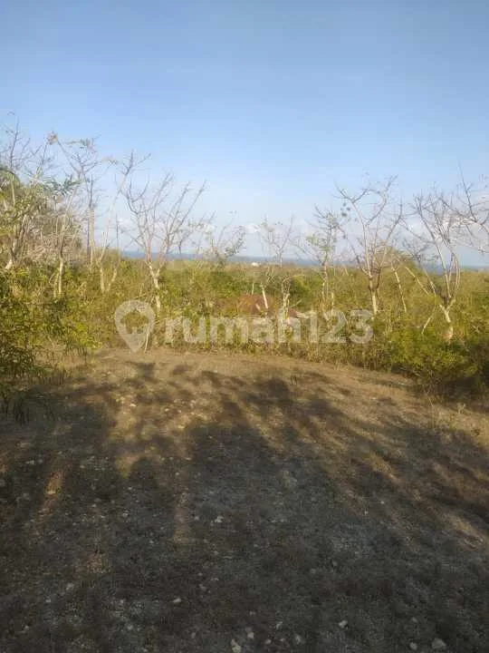 Ocean View Land Benoa 10 Are Near Kempinski Bali Sale - Image 2 of 4