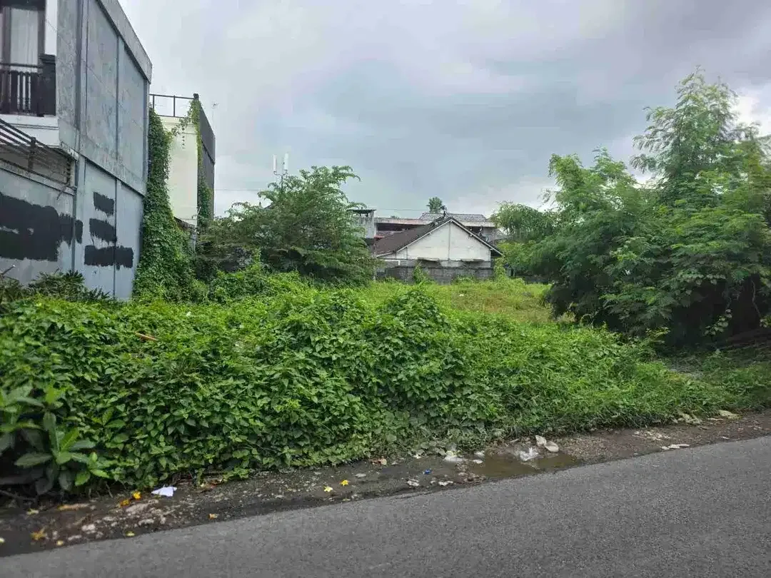 tanah bagus pinggir jalan cocok untuk usaha dan villa - Image 2 of 6