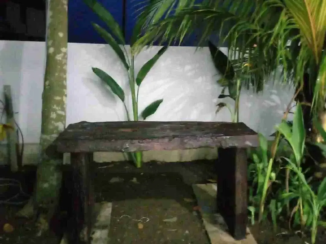 DISEWAKAN VILLA VIEW SAWAH DEKAT PANTAI KEDUNGU BG - Image 10 of 10