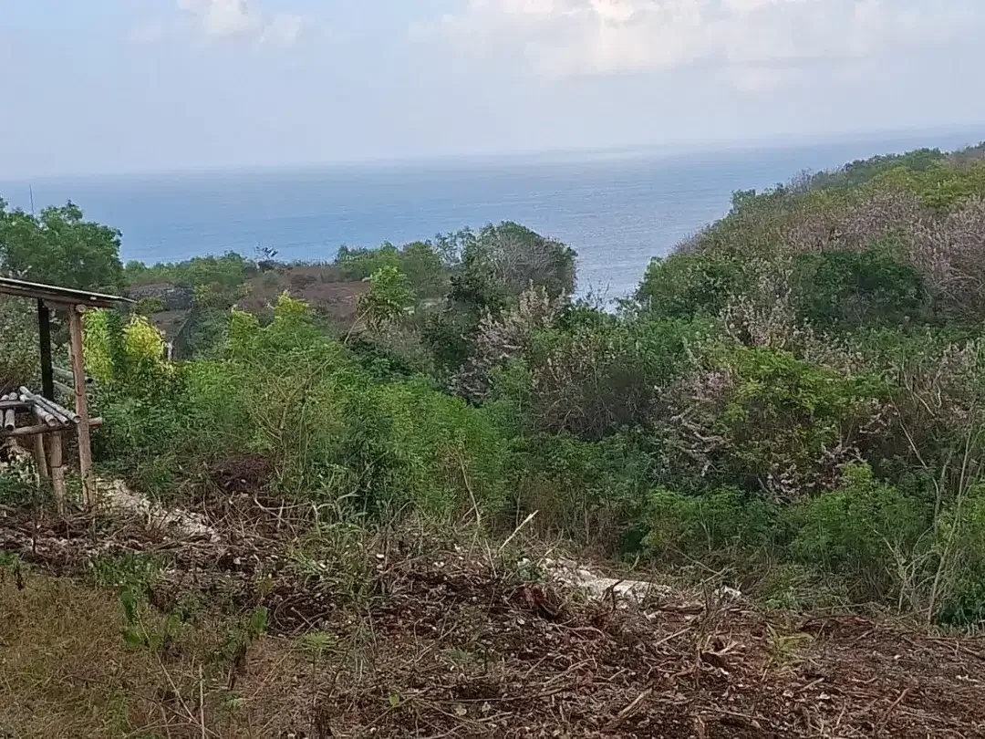 Dijual Tanah Super Premium 4.978 m² dengan Ocean View Pantai di Bali Cliff Ungasan, Zona Pariwisata, Cocok untuk Pengembangan Villa, Resort, Hotel, - Image 4 of 10