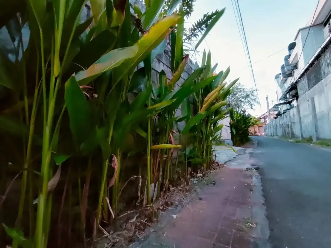 DIJUAL TANAH MURAH DEKAT AIRPORT NGURAH RAI JIMBARAN - Image 3 of 9