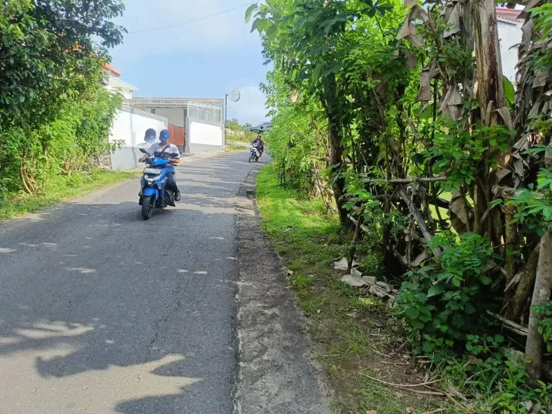Dijual Tanah Strategis 48,4 Are SHM Zona Permukiman Dekat Beranda Bukit Kutuh, Kuta Selatan – Cocok untuk Villa, Cluster, dan Investasi - Image 9 of 9