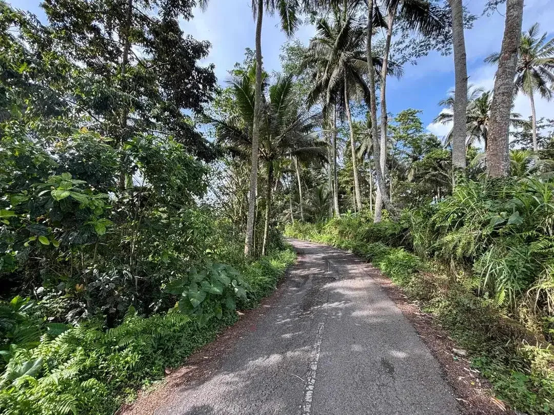 Dijual tanah terletak di pejeng jalur dekat ke ubud - Image 3 of 5