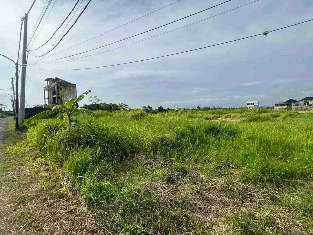 Dijual Tanah 3.080 m² di Cemagi Badung, SHM - Image 9 of 10