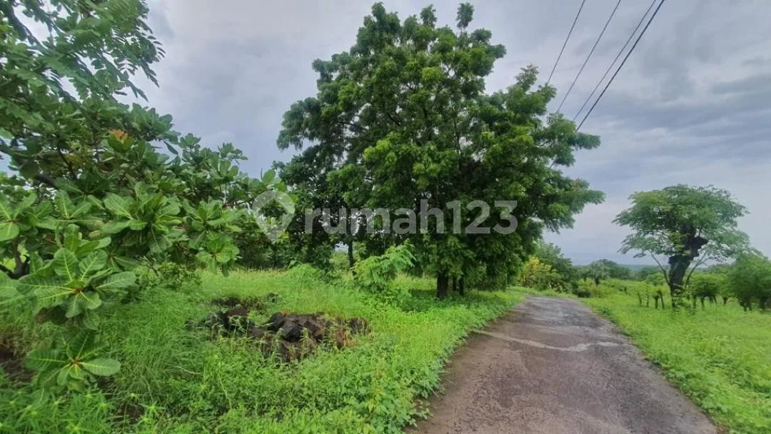Dijual Tanah Karang Asem Tulamben Bali Dekat Dengan Spot Diving - Image 1 of 4